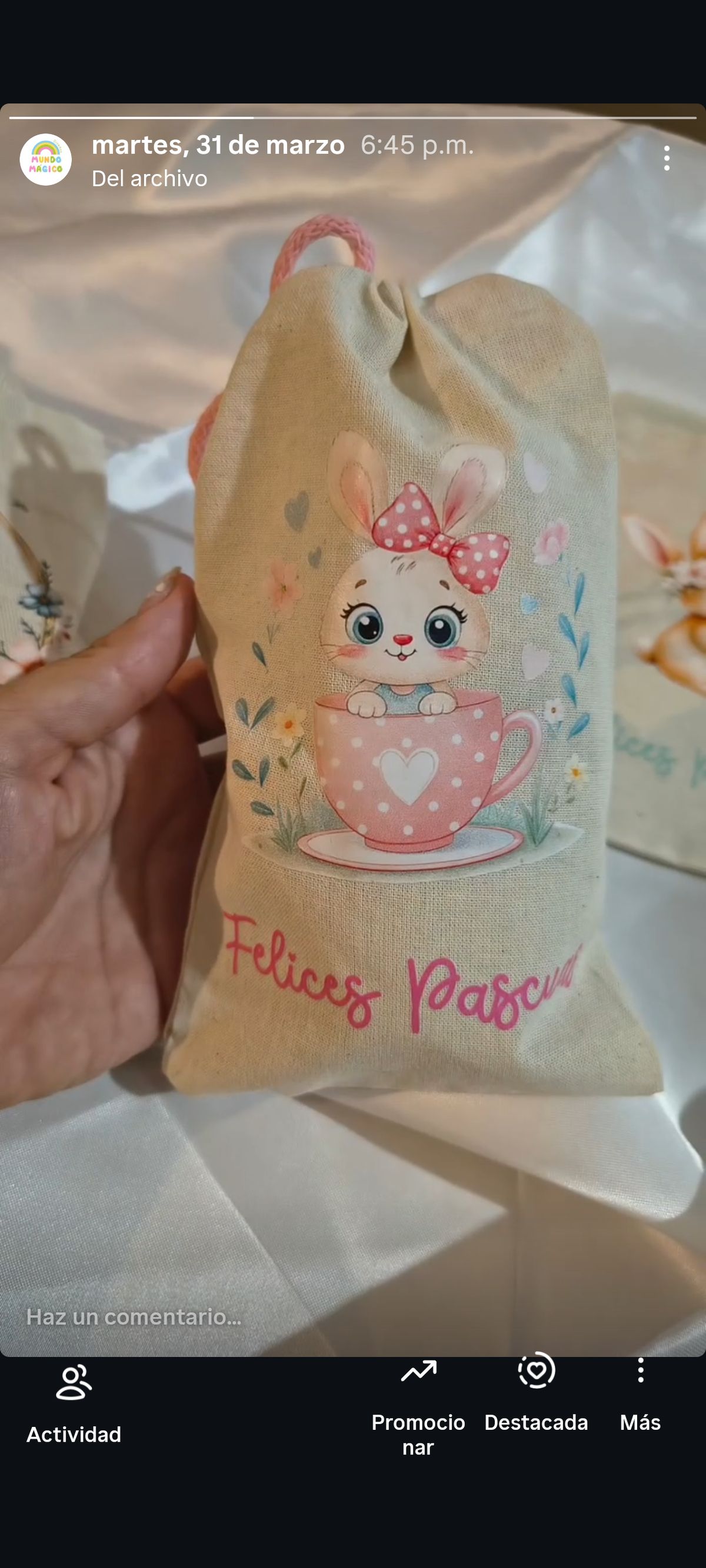 Bolsitas de Lienzo  souvenir